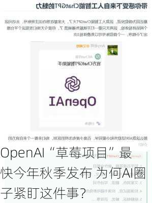 OpenAI“草莓项目”最快今年秋季发布 为何AI圈子紧盯这件事？-第1张图片-