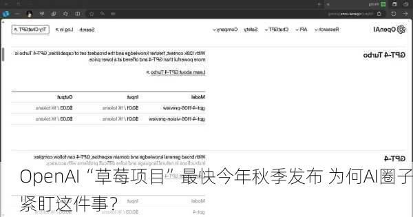 OpenAI“草莓项目”最快今年秋季发布 为何AI圈子紧盯这件事？-第3张图片-