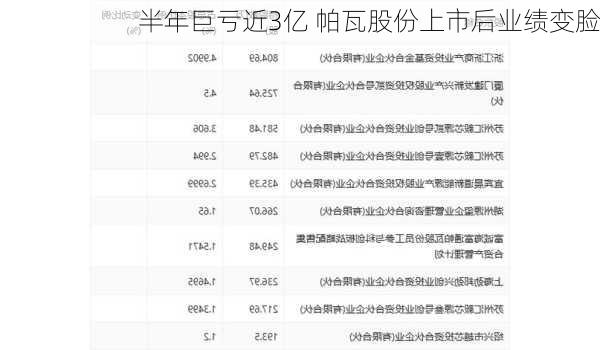 半年巨亏近3亿 帕瓦股份上市后业绩变脸-第3张图片-