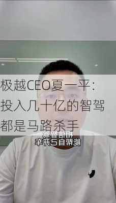 极越CEO夏一平：投入几十亿的智驾 都是马路杀手-第2张图片-