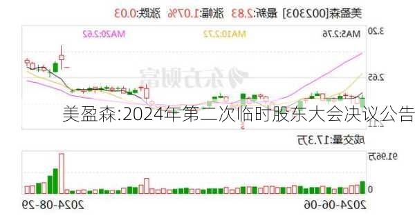 美盈森:2024年第二次临时股东大会决议公告