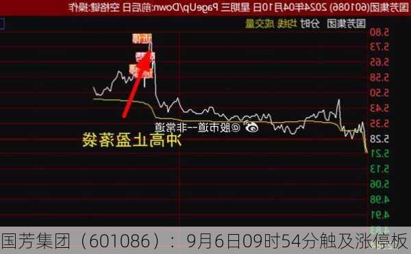 国芳集团（601086）：9月6日09时54分触及涨停板