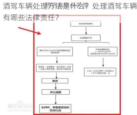 酒驾车辆处理方法是什么？处理酒驾车辆有哪些法律责任？-第3张图片-