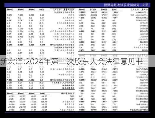 新宏泽:2024年第二次股东大会法律意见书-第1张图片-