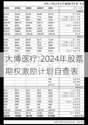 大博医疗:2024年股票期权激励计划自查表-第1张图片-