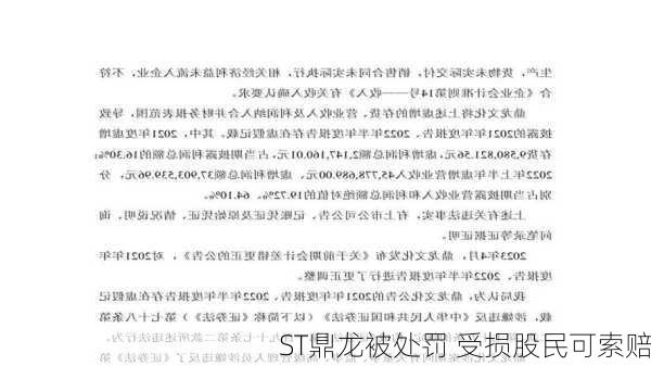 ST鼎龙被处罚 受损股民可索赔-第3张图片-