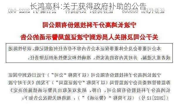 长鸿高科:关于获得政府补助的公告