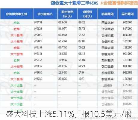 盛大科技上涨5.11%，报10.5美元/股-第2张图片-