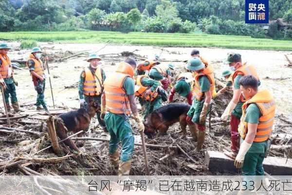 台风“摩羯”已在越南造成233人死亡