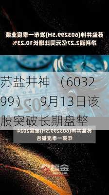 苏盐井神 （603299）：9月13日该股突破长期盘整-第1张图片-