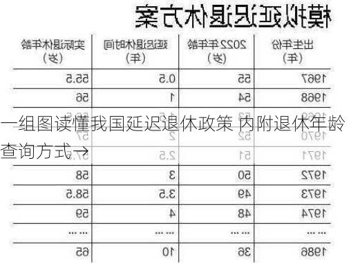 一组图读懂我国延迟退休政策 内附退休年龄查询方式→-第1张图片-