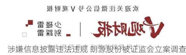 涉嫌信息披露违法违规 朗源股份被证监会立案调查-第2张图片-