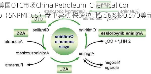 美国OTC市场China Petroleum  Chemical Corp（SNPMF.us）盘中异动 快速拉升5.56%报0.570美元-第1张图片-