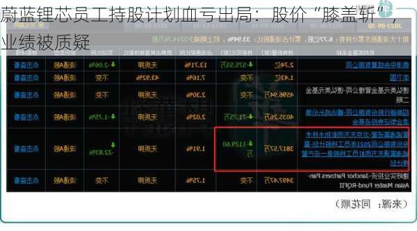 蔚蓝锂芯员工持股计划血亏出局：股价“膝盖斩”，业绩被质疑-第2张图片-