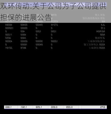 双环传动:关于公司为子公司提供担保的进展公告-第1张图片-