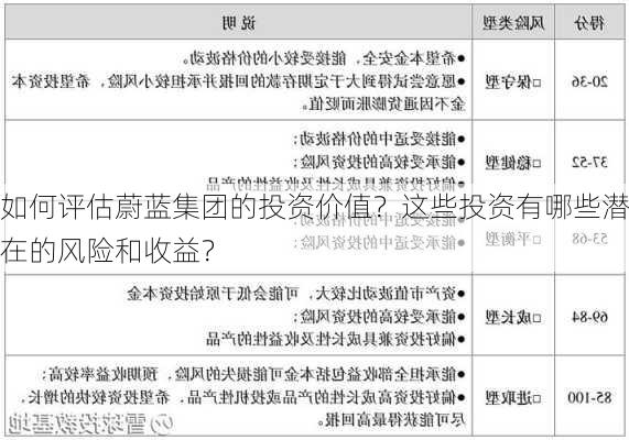 如何评估蔚蓝集团的投资价值？这些投资有哪些潜在的风险和收益？