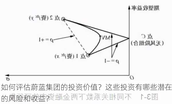 如何评估蔚蓝集团的投资价值？这些投资有哪些潜在的风险和收益？-第2张图片-