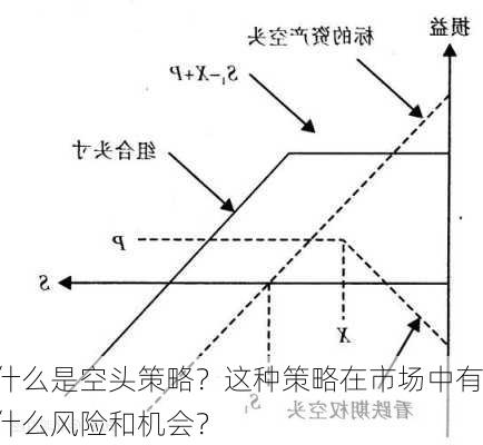 什么是空头策略？这种策略在市场中有什么风险和机会？