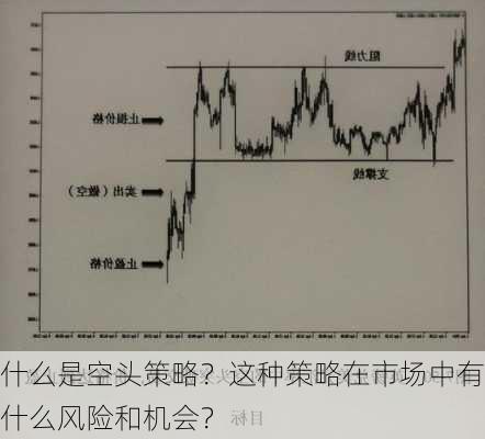 什么是空头策略？这种策略在市场中有什么风险和机会？-第3张图片-