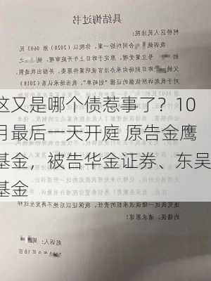 这又是哪个债惹事了？10月最后一天开庭 原告金鹰基金，被告华金证券、东吴基金-第2张图片-