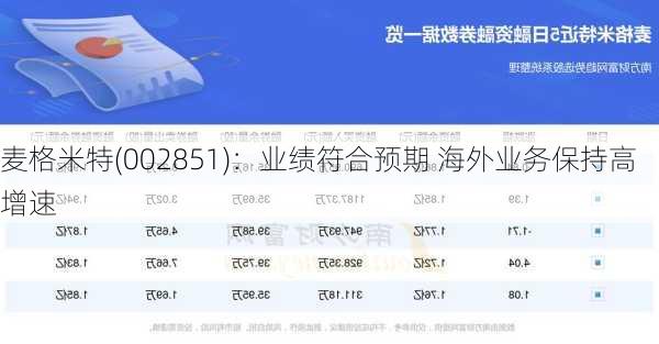 麦格米特(002851)：业绩符合预期 海外业务保持高增速