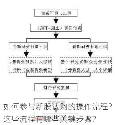 如何参与新股认购的操作流程？这些流程有哪些关键步骤？-第2张图片-