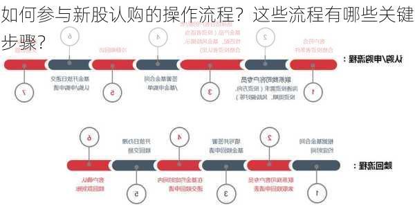 如何参与新股认购的操作流程？这些流程有哪些关键步骤？