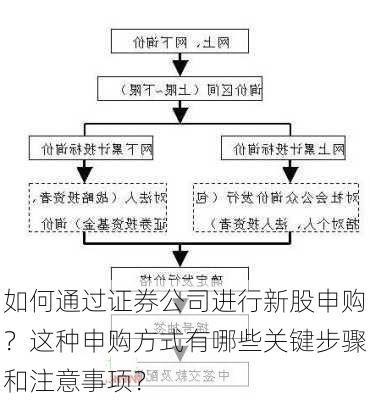 如何通过证券公司进行新股申购？这种申购方式有哪些关键步骤和注意事项？