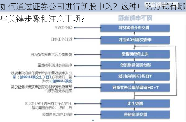 如何通过证券公司进行新股申购？这种申购方式有哪些关键步骤和注意事项？-第2张图片-