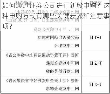 如何通过证券公司进行新股申购？这种申购方式有哪些关键步骤和注意事项？-第3张图片-