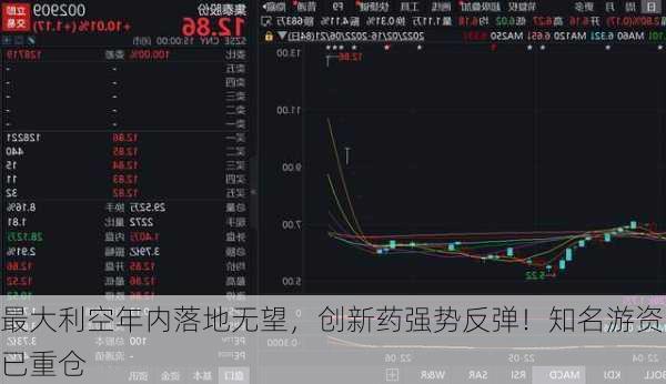 最大利空年内落地无望，创新药强势反弹！知名游资已重仓-第3张图片-