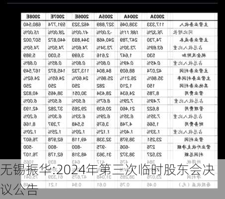 无锡振华:2024年第三次临时股东会决议公告