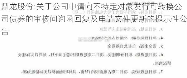 鼎龙股份:关于公司申请向不特定对象发行可转换公司债券的审核问询函回复及申请文件更新的提示性公告