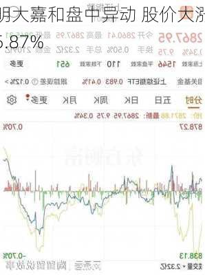 明大嘉和盘中异动 股价大涨5.87%-第2张图片-