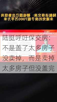 陆挺呼吁保交房：不是盖了太多房子没卖掉，而是卖掉太多房子但没盖完-第2张图片-