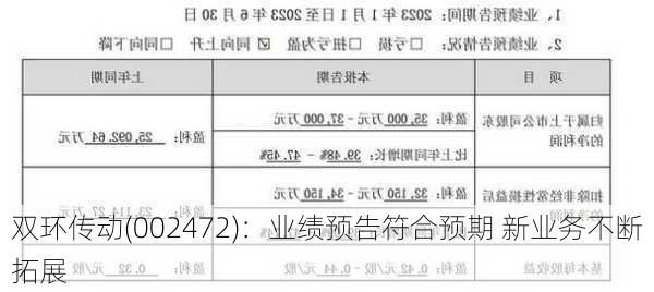 双环传动(002472)：业绩预告符合预期 新业务不断拓展-第2张图片-