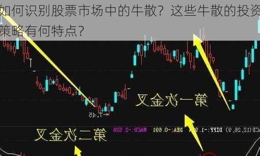 如何识别股票市场中的牛散？这些牛散的投资策略有何特点？-第1张图片-