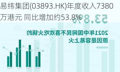 易纬集团(03893.HK)年度收入7380万港元 同比增加约53.8%-第1张图片-