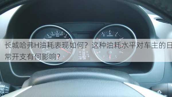 长城哈弗H油耗表现如何？这种油耗水平对车主的日常开支有何影响？-第2张图片-