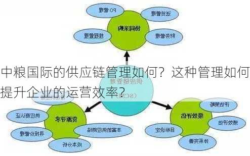 中粮国际的供应链管理如何？这种管理如何提升企业的运营效率？-第3张图片-