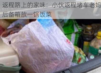 返程路上的家味：小伙返程堵车老妈后备箱放一锅饭菜-第3张图片-