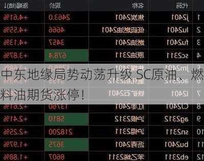 中东地缘局势动荡升级 SC原油、燃料油期货涨停！-第2张图片-