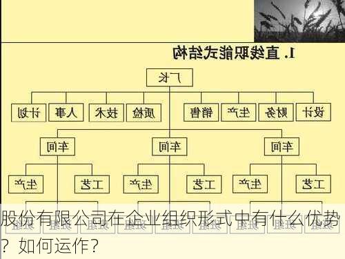 股份有限公司在企业组织形式中有什么优势？如何运作？-第3张图片-