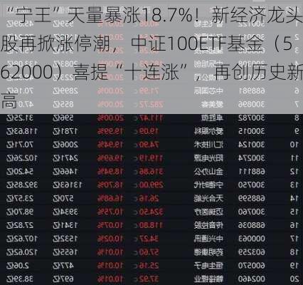 “宁王”天量暴涨18.7%！新经济龙头股再掀涨停潮，中证100ETF基金（562000）喜提“十连涨”，再创历史新高-第3张图片-