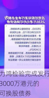 力鸿检验完成发行3000万港元的可换股债券-第2张图片-