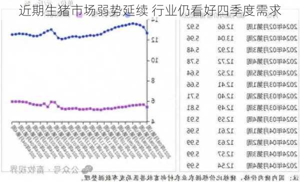 近期生猪市场弱势延续 行业仍看好四季度需求