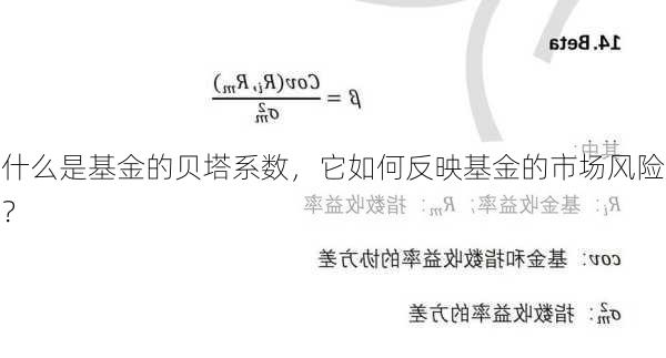 什么是基金的贝塔系数，它如何反映基金的市场风险？-第1张图片-