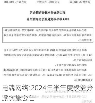 电魂网络:2024年半年度权益分派实施公告-第1张图片-