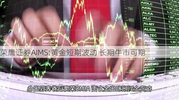 荣鹰证券AIMS:黄金短期波动 长期牛市可期-第2张图片-