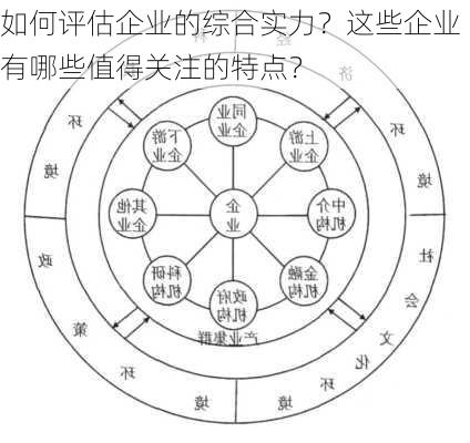 如何评估企业的综合实力？这些企业有哪些值得关注的特点？-第2张图片-